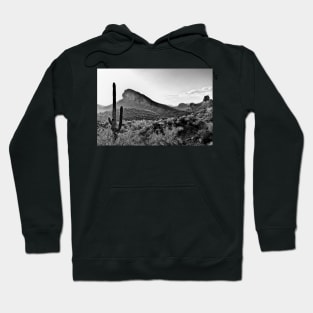 Cactus In The Sun In Black And White Hoodie